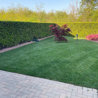 Posa prato pronto a rotoli