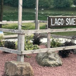 Realizzazione aiuole